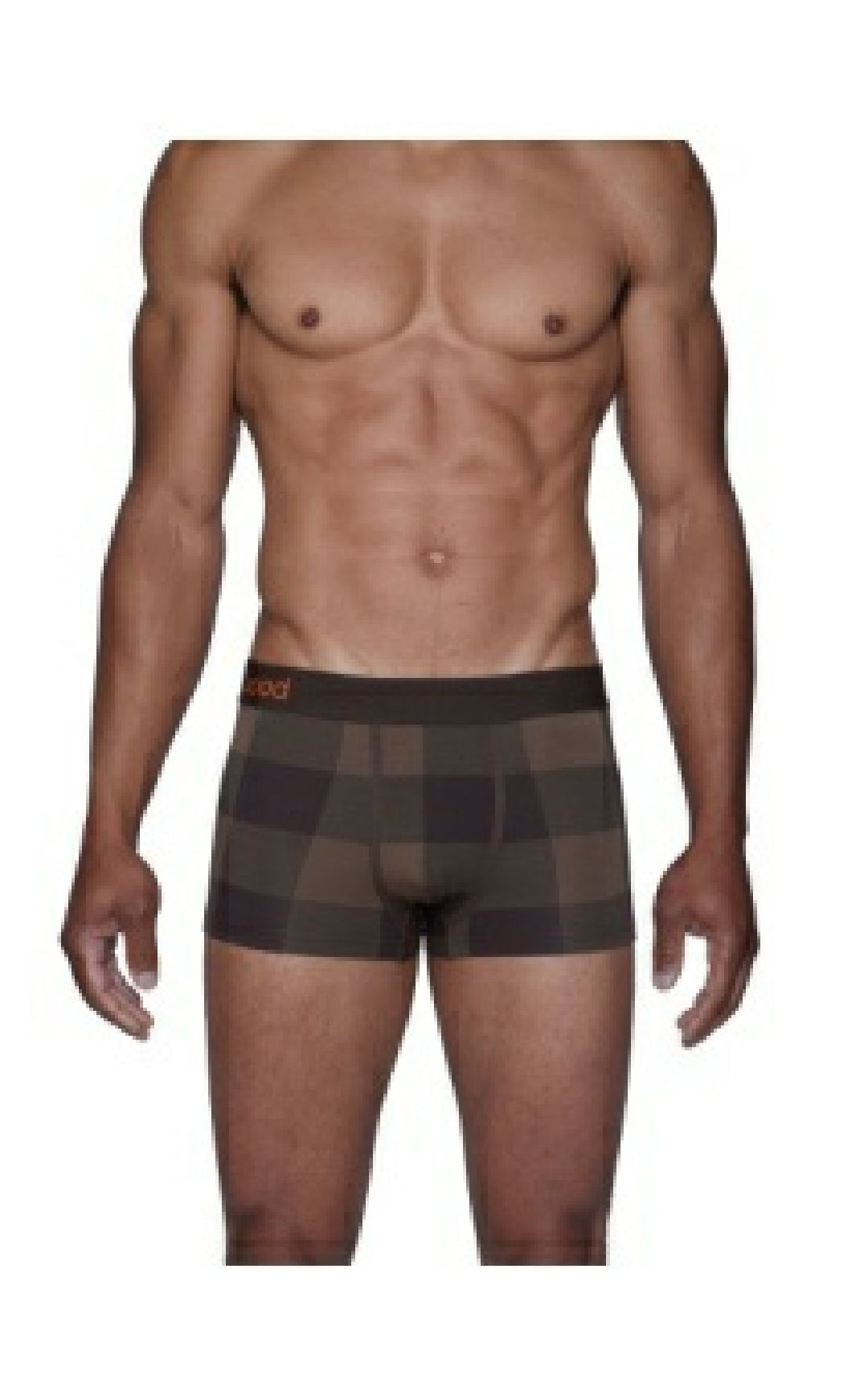 WOOD Boxer Brief with Fly
