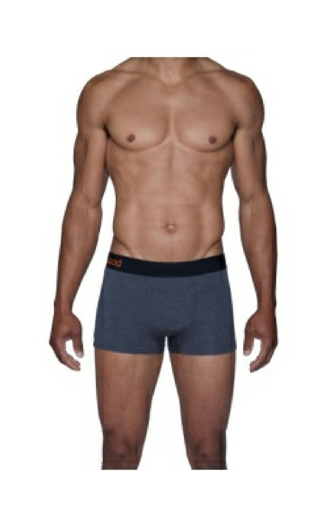 WOOD Boxer Brief with Fly